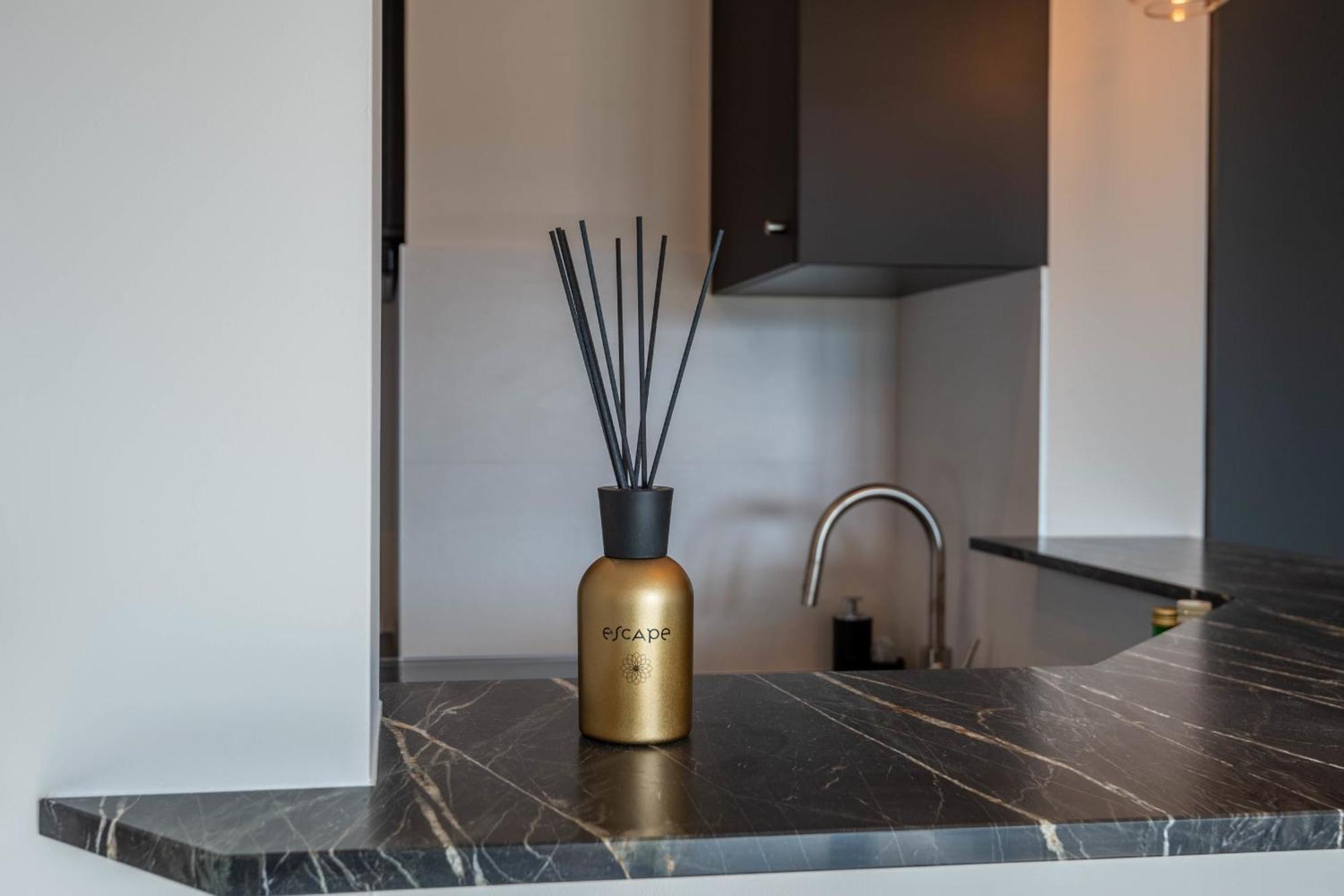 Le Beau Marcy - Contemporary City Centre Flat Annecy Eksteriør billede